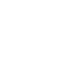 FAQ Icon